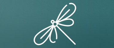 Dragonfly symbol